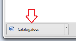 Export_Download Window_Open Download