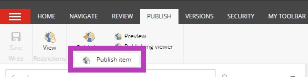 Publish Item Button